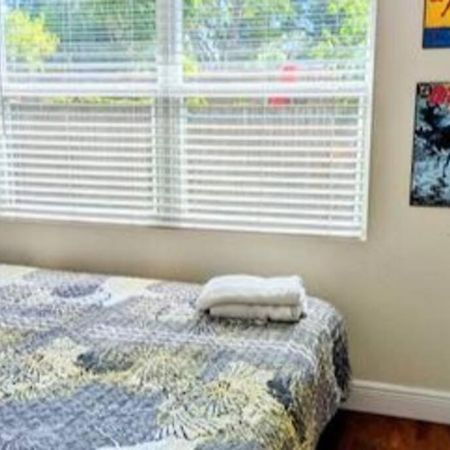 Spacious House With Big Backyard In N. Hyde Park / Close To Downtown แทมปา ภายนอก รูปภาพ