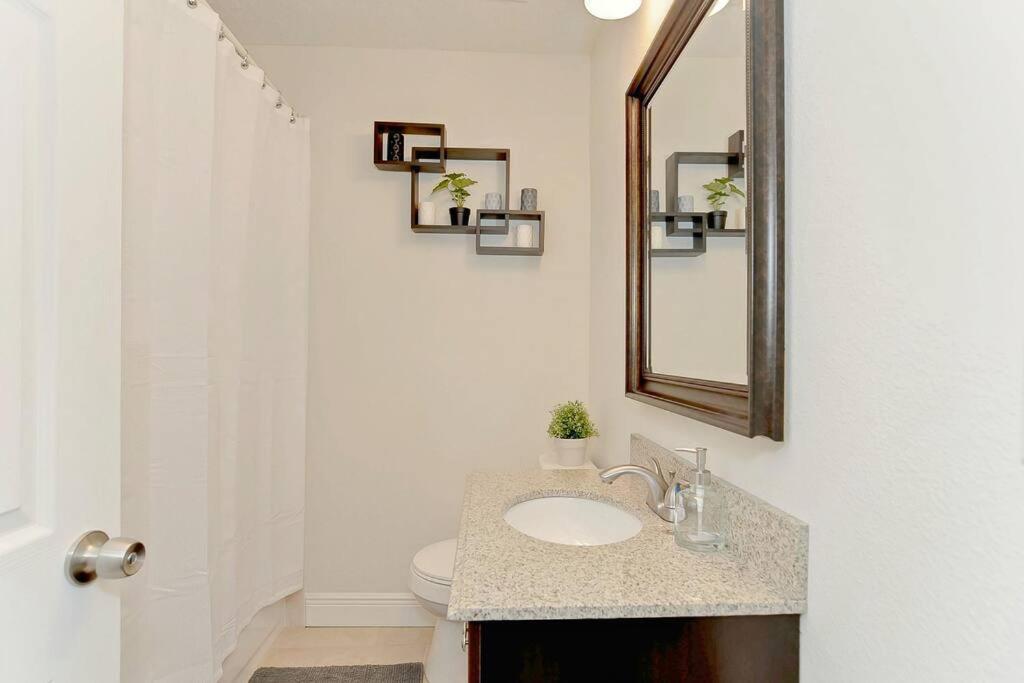 Spacious House With Big Backyard In N. Hyde Park / Close To Downtown แทมปา ภายนอก รูปภาพ